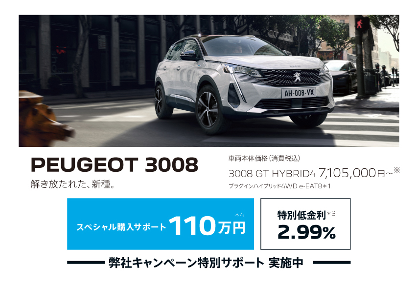 PEUGEOT 3008