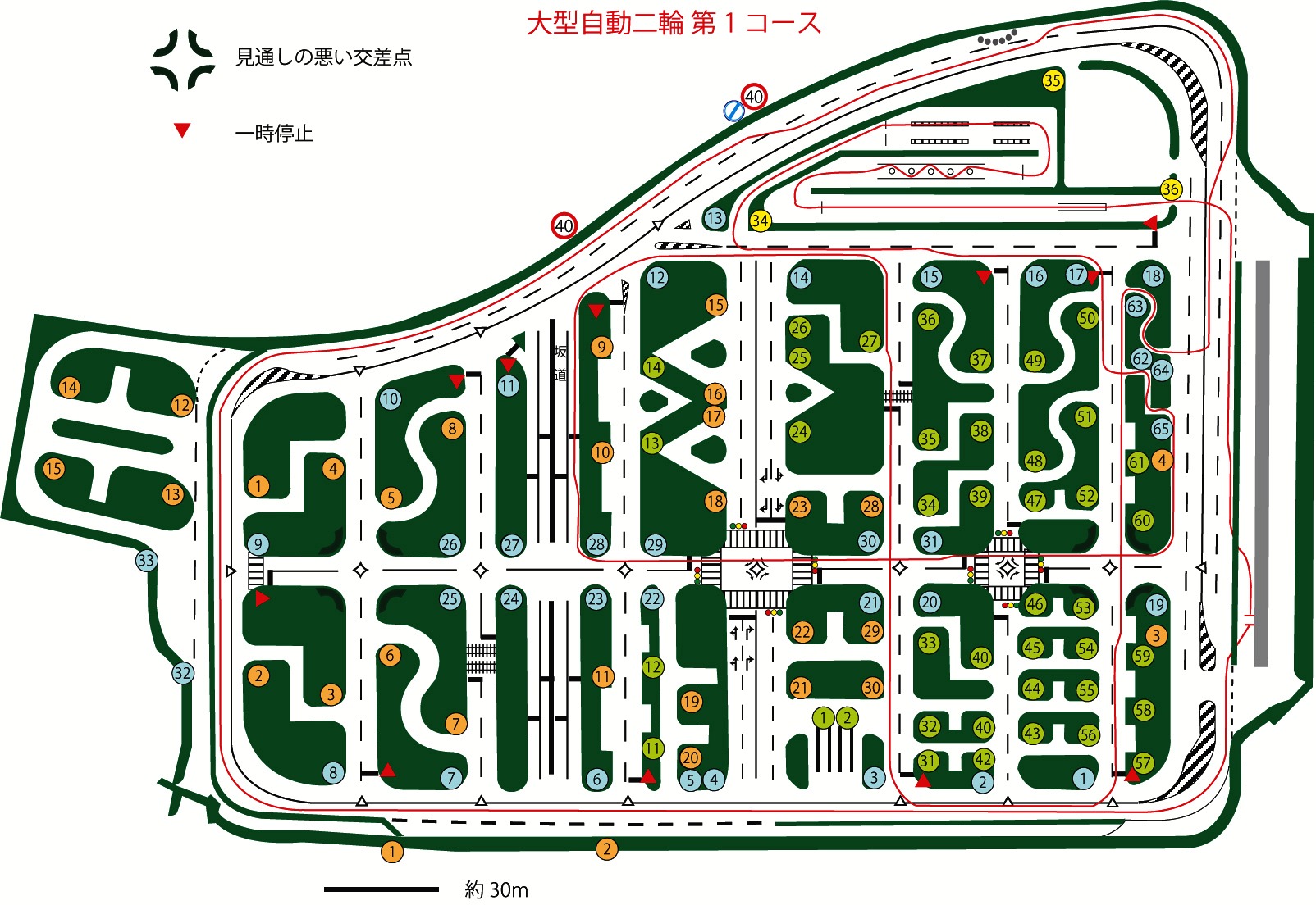 「限定解除」でビックラ！　見極め編