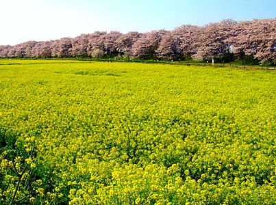 いよいよ４月！！