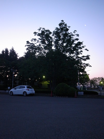 道