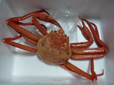 今さらながら・・・