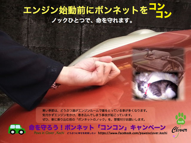 寒くなってきました
