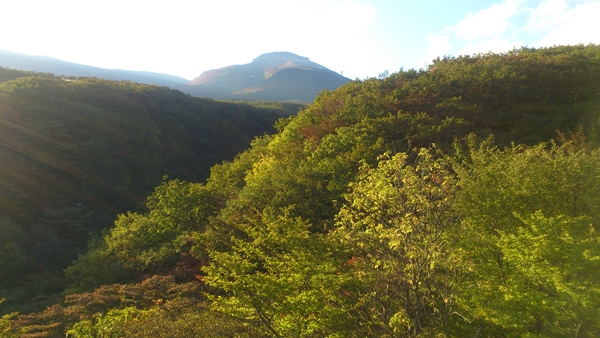 ちょっと・・・ドライブで！！