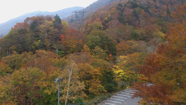 ちょっとドライブ・・・２