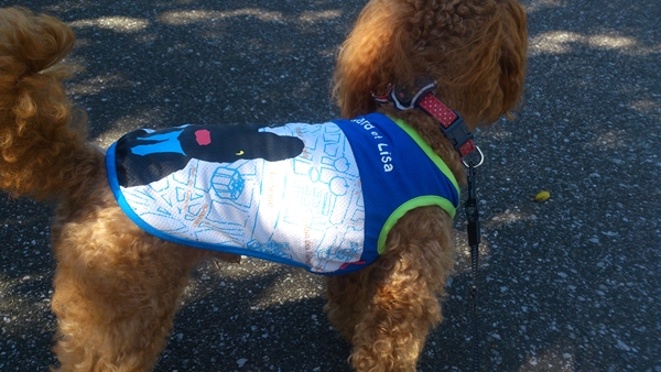 ちょっとドライブ・・・２