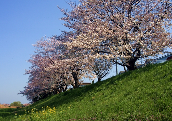 今日から、4月！