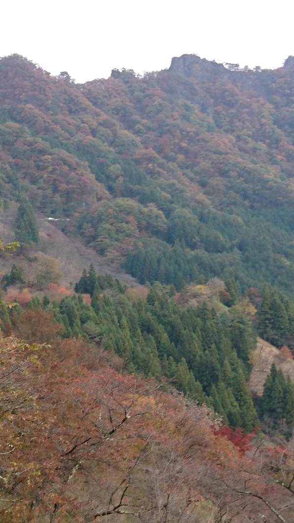 ★紅葉シーズンですね･･･★