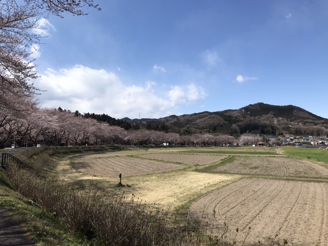 定休日のご案内