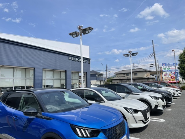 夏休み前に納車できる車、ありますよ。