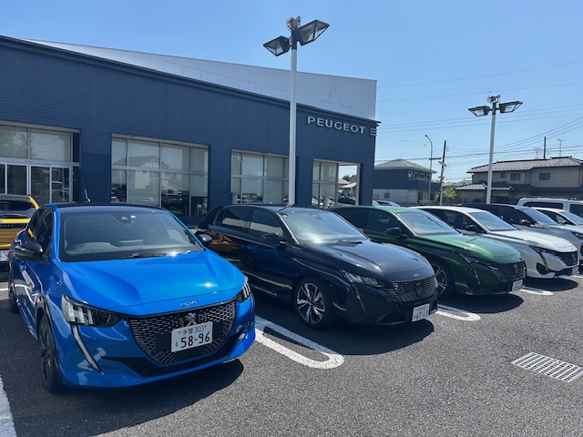 GW期間はショールームのみ営業しております