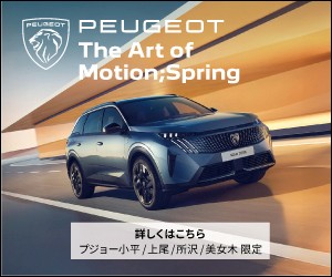 プジョーバナー3月.jpg
