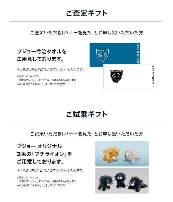 いよいよ9月のフェアが始まります！